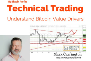Bitcoin Market Value